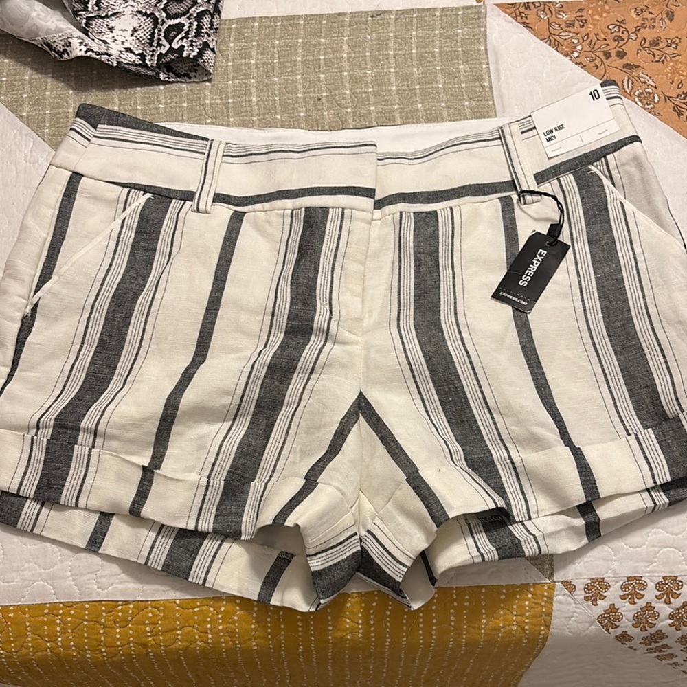 Express Women's Striped Gray Shorts